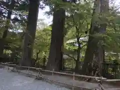 室生寺の自然