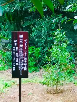 大宝八幡宮の歴史