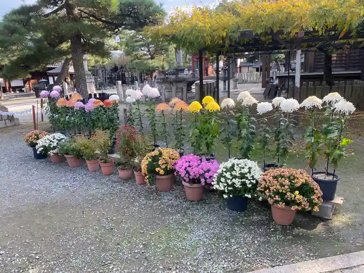 葛井寺(大阪府)