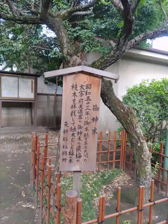 天神社(東京都)