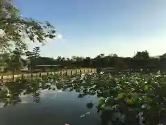 牟禮山観音禅寺の庭園