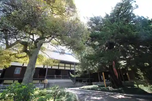 円覚寺(神奈川県)