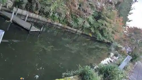 稗田野神社(薭田野神社)(京都府)