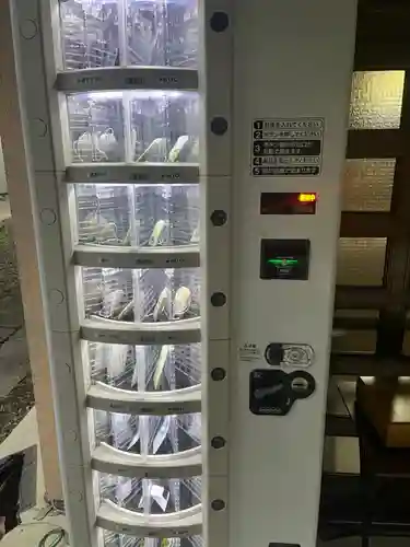 忍　諏訪神社・東照宮　(埼玉県)