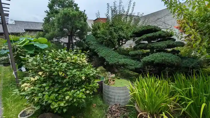 西運寺(狸寺)(京都府)