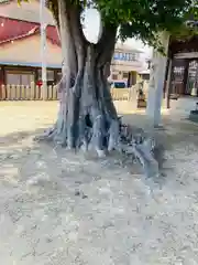 武大神社(兵庫県)