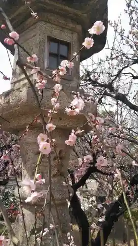 北野天満宮の自然