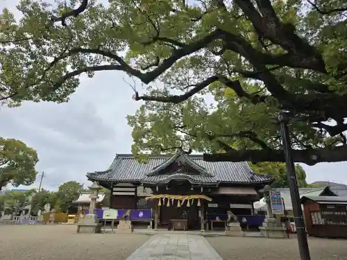 百舌鳥八幡宮(大阪府)