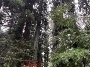 大宮温泉神社(栃木県)(2023年07月12日(水) 08時13分03秒投稿)