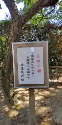 天豊受神社のその他建物