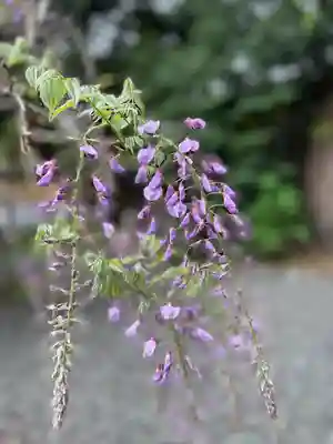 阿佐ヶ谷神明宮(東京都)