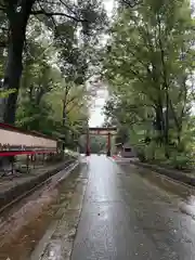 武蔵一宮氷川神社(埼玉県)