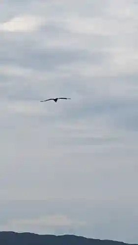 玉津島神社(和歌山県)