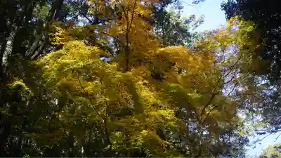 崇道神社(京都府)