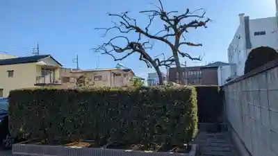 稲荷神社(群馬県)