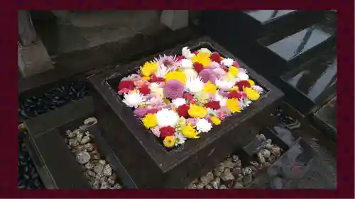観音寺(東京都)
