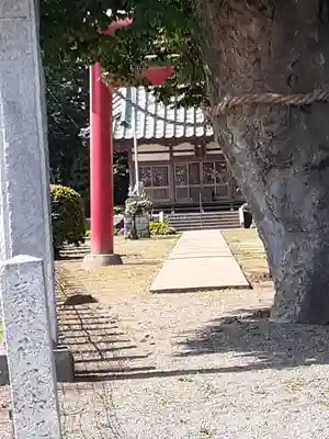 関本神社(茨城県)