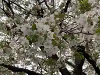池上本門寺(東京都)