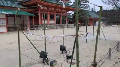 平安神宮のおみくじ