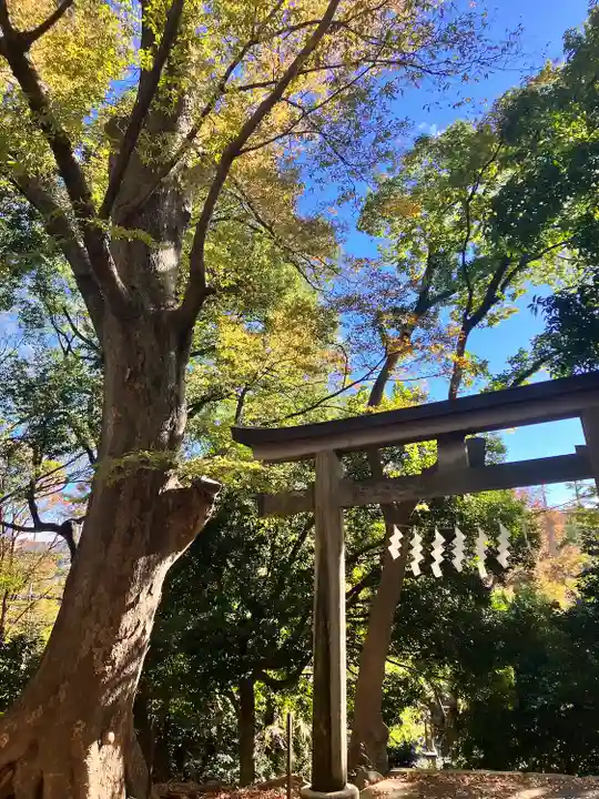 日吉神社(東京都)