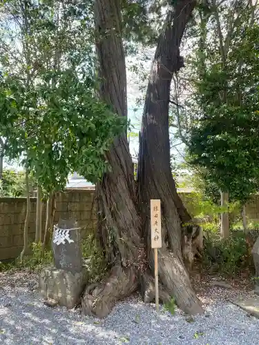 星宮神社(栃木県)