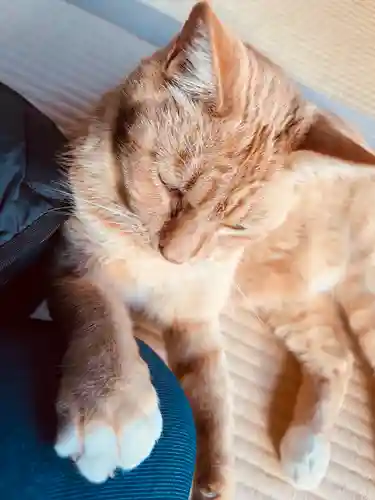 祥龍山 金剛寺(神奈川県)