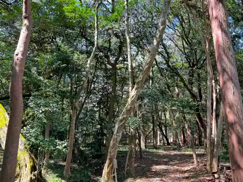 印岐志呂神社(滋賀県)
