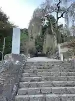 妙義神社(群馬県)