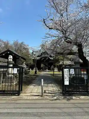 観音寺（世田谷山観音寺）(東京都)
