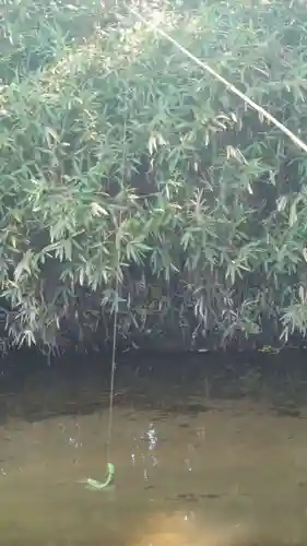 常堅寺(岩手県)