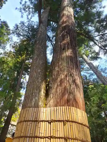 伊勢神宮内宮（皇大神宮）(三重県)
