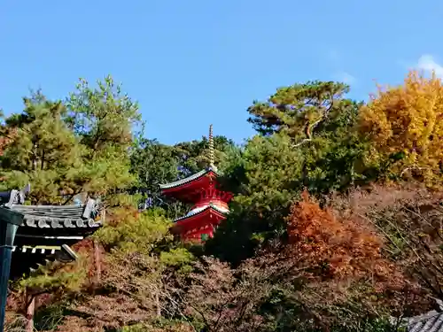 今熊野観音寺のその他建物