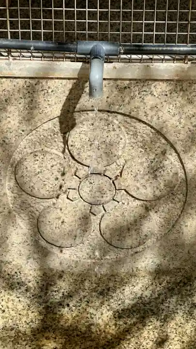 屯倉神社の{uncategorized: "未分類", other: "その他", undefined: "問題あり", building: "その他建物", grave: "お墓", sacred_gate: "鳥居", guardian: "狛犬", statue: "像", buddha: "仏像", history: "歴史", nature: "自然", garden: "庭園", animal: "動物", pagoda: "塔", temizu: "手水舎", mountain_gate: "山門・神門", sanctuary: "本殿・本堂", subordinate: "末社・摂社", art: "芸術", scenery: "景色", jizo: "地蔵", ema: "絵馬", goshuin: "御朱印", omikuji: "おみくじ", items: "授与品その他", amulet: "お守り", goshuincho: "御朱印帳", eats: "食事", festival: "お祭り", votive_dance: "神楽", shichigosan: "七五三参", wedding: "結婚式", experience: "体験その他", initially: "初詣", around: "周辺", anti_infection: "感染症対策"}