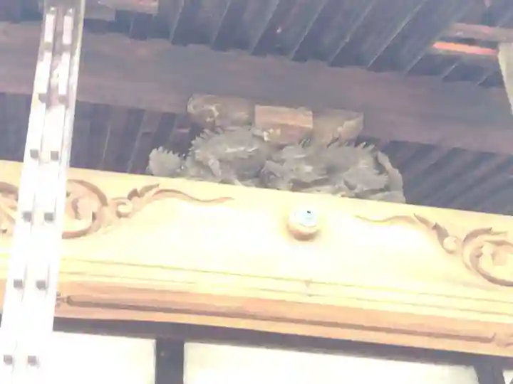 樹徳寺(新潟県)