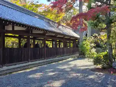 真正極楽寺(真如堂)(京都府)