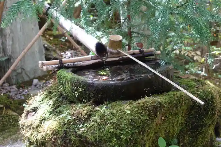 宝泉院の手水舎