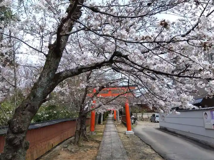 竹中稲荷神社(吉田神社末社)(京都府)