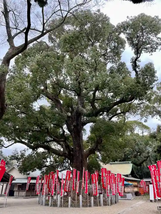 楠珺社(住吉大社末社)の自然