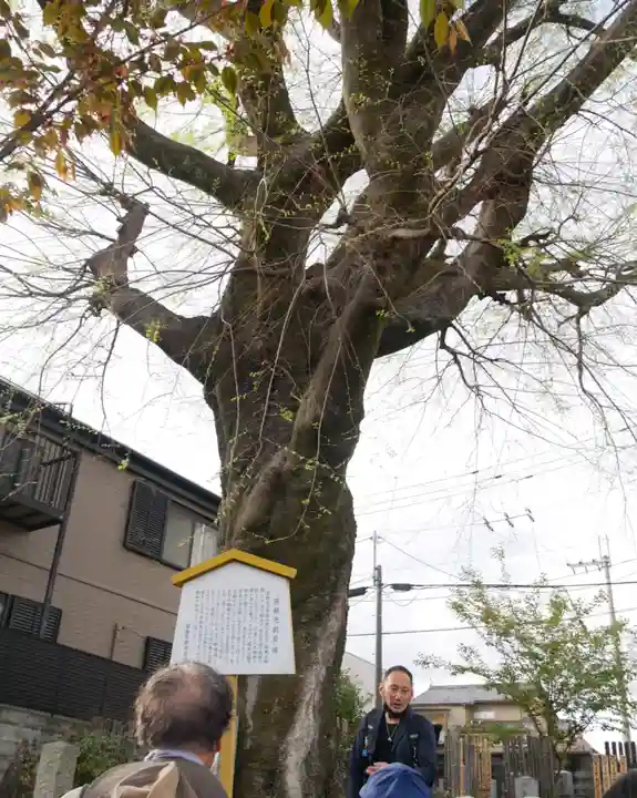上品蓮台寺の自然