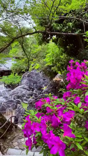 石山寺の{uncategorized: "未分類", other: "その他", undefined: "問題あり", building: "その他建物", grave: "お墓", sacred_gate: "鳥居", guardian: "狛犬", statue: "像", buddha: "仏像", history: "歴史", nature: "自然", garden: "庭園", animal: "動物", pagoda: "塔", temizu: "手水舎", mountain_gate: "山門・神門", sanctuary: "本殿・本堂", subordinate: "末社・摂社", art: "芸術", scenery: "景色", jizo: "地蔵", ema: "絵馬", goshuin: "御朱印", omikuji: "おみくじ", items: "授与品その他", amulet: "お守り", goshuincho: "御朱印帳", eats: "食事", festival: "お祭り", votive_dance: "神楽", shichigosan: "七五三参", wedding: "結婚式", experience: "体験その他", initially: "初詣", around: "周辺", anti_infection: "感染症対策"}
