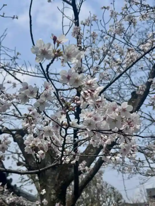 長建寺の{uncategorized: "未分類", other: "その他", undefined: "問題あり", building: "その他建物", grave: "お墓", sacred_gate: "鳥居", guardian: "狛犬", statue: "像", buddha: "仏像", history: "歴史", nature: "自然", garden: "庭園", animal: "動物", pagoda: "塔", temizu: "手水舎", mountain_gate: "山門・神門", sanctuary: "本殿・本堂", subordinate: "末社・摂社", art: "芸術", scenery: "景色", jizo: "地蔵", ema: "絵馬", goshuin: "御朱印", omikuji: "おみくじ", items: "授与品その他", amulet: "お守り", goshuincho: "御朱印帳", eats: "食事", festival: "お祭り", votive_dance: "神楽", shichigosan: "七五三参", wedding: "結婚式", experience: "体験その他", initially: "初詣", around: "周辺", anti_infection: "感染症対策"}