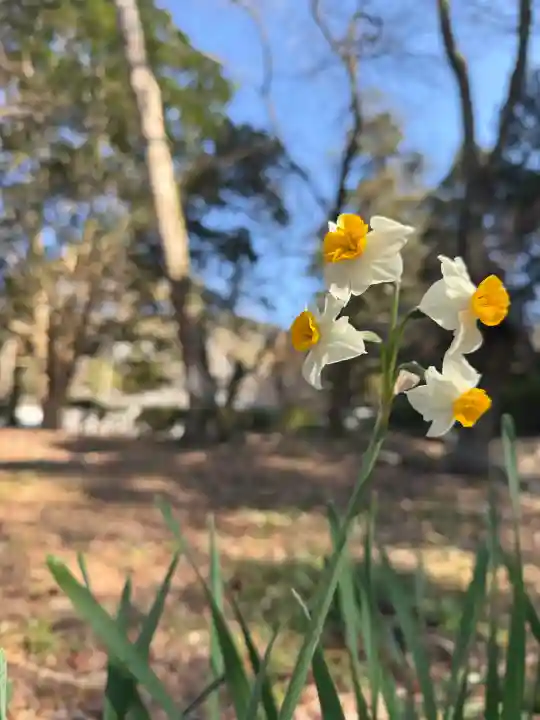 根来寺の{uncategorized: "未分類", other: "その他", undefined: "問題あり", building: "その他建物", grave: "お墓", sacred_gate: "鳥居", guardian: "狛犬", statue: "像", buddha: "仏像", history: "歴史", nature: "自然", garden: "庭園", animal: "動物", pagoda: "塔", temizu: "手水舎", mountain_gate: "山門・神門", sanctuary: "本殿・本堂", subordinate: "末社・摂社", art: "芸術", scenery: "景色", jizo: "地蔵", ema: "絵馬", goshuin: "御朱印", omikuji: "おみくじ", items: "授与品その他", amulet: "お守り", goshuincho: "御朱印帳", eats: "食事", festival: "お祭り", votive_dance: "神楽", shichigosan: "七五三参", wedding: "結婚式", experience: "体験その他", initially: "初詣", around: "周辺", anti_infection: "感染症対策"}