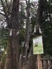 布多天神社の自然