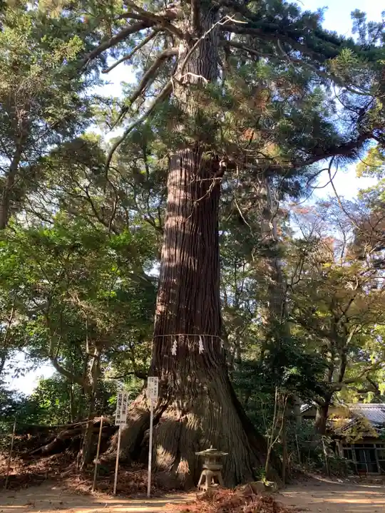 側高神社(千葉県)
