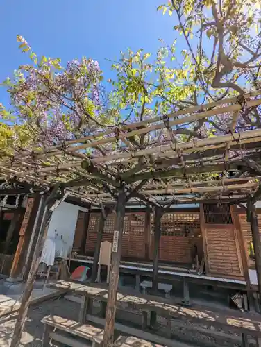 西院春日神社(京都府)