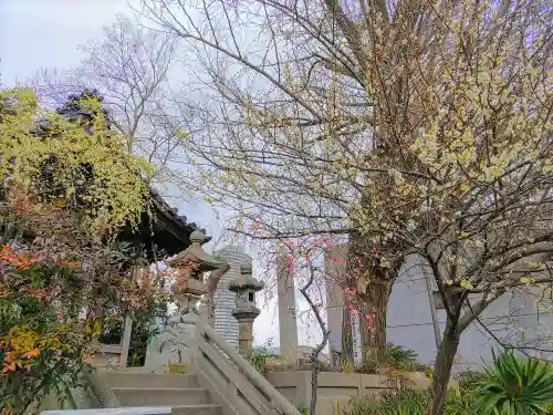 天神社（中切町）の自然