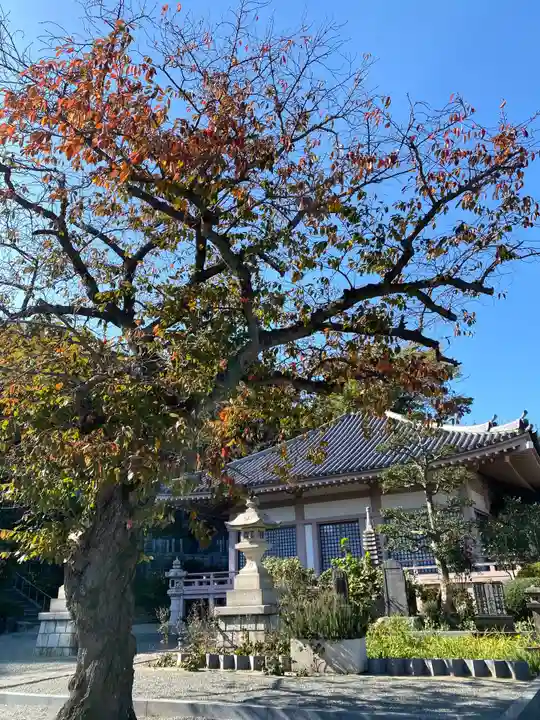 弘誓院の本殿・本堂