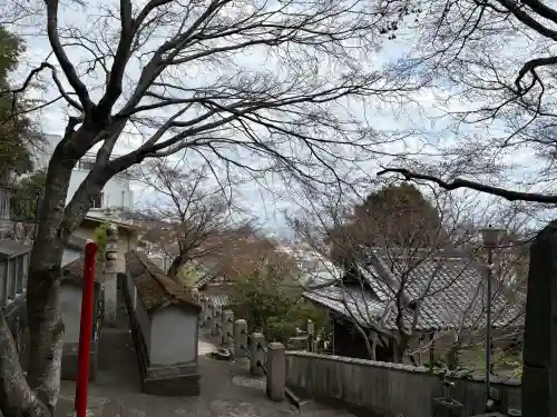 妙光院の{uncategorized: "未分類", other: "その他", undefined: "問題あり", building: "その他建物", grave: "お墓", sacred_gate: "鳥居", guardian: "狛犬", statue: "像", buddha: "仏像", history: "歴史", nature: "自然", garden: "庭園", animal: "動物", pagoda: "塔", temizu: "手水舎", mountain_gate: "山門・神門", sanctuary: "本殿・本堂", subordinate: "末社・摂社", art: "芸術", scenery: "景色", jizo: "地蔵", ema: "絵馬", goshuin: "御朱印", omikuji: "おみくじ", items: "授与品その他", amulet: "お守り", goshuincho: "御朱印帳", eats: "食事", festival: "お祭り", votive_dance: "神楽", shichigosan: "七五三参", wedding: "結婚式", experience: "体験その他", initially: "初詣", around: "周辺", anti_infection: "感染症対策"}