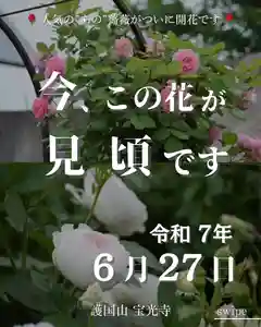 宝光寺(北海道)(2025年06月27日(金) 12時10分00秒投稿)