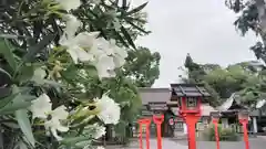 平野神社の建物その他